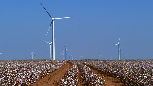 Windmills & Cotton - Mark & Vicki Dodge