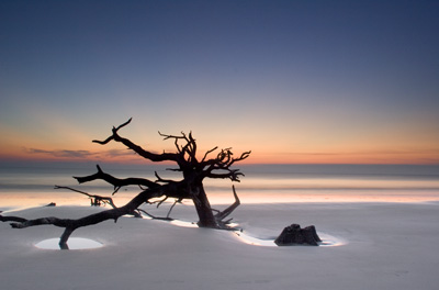 Driftwood Beach Sunrise - Mark Dodge