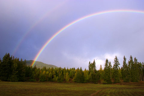 Rainbow 2 - Mark Dodge