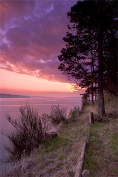 The Front, Camano Island, WA - Mark Dodge